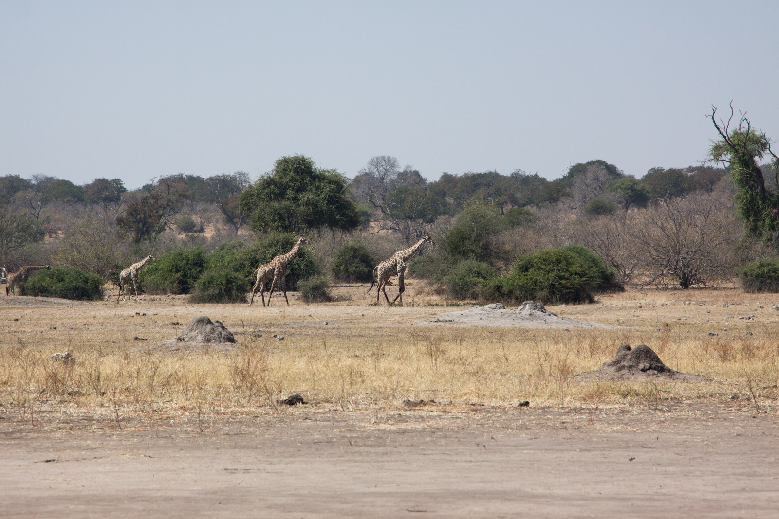 IMG 7886