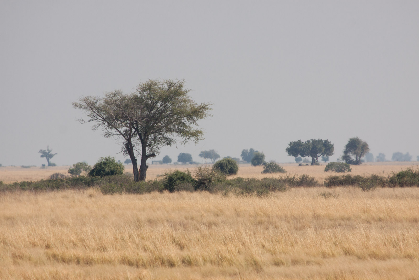 IMG 9117