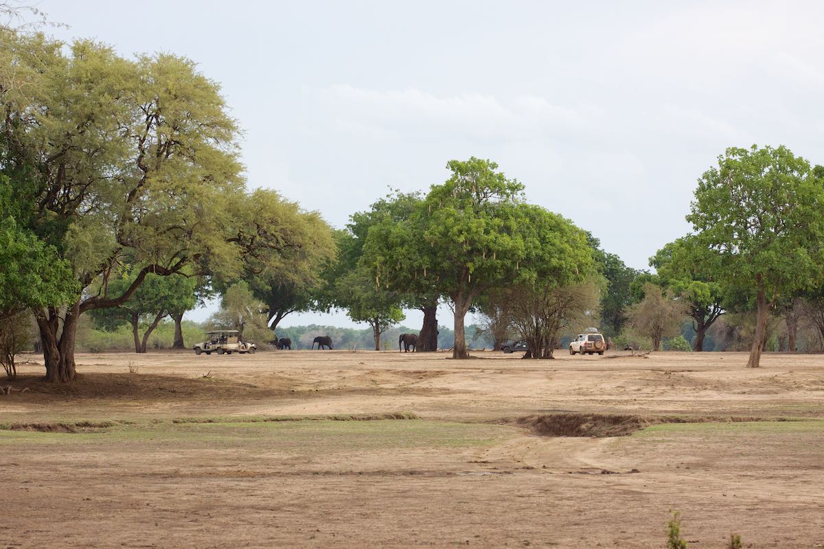 South luangwa 50