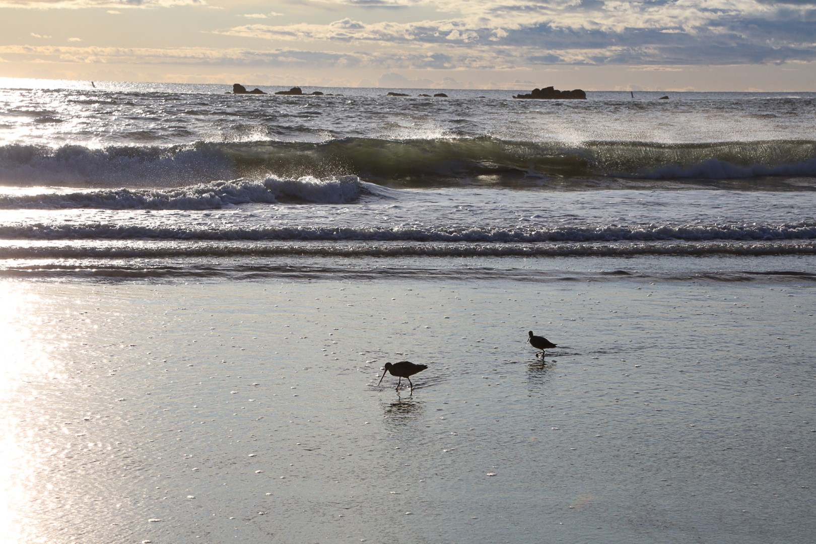 Santa Monica Beach
