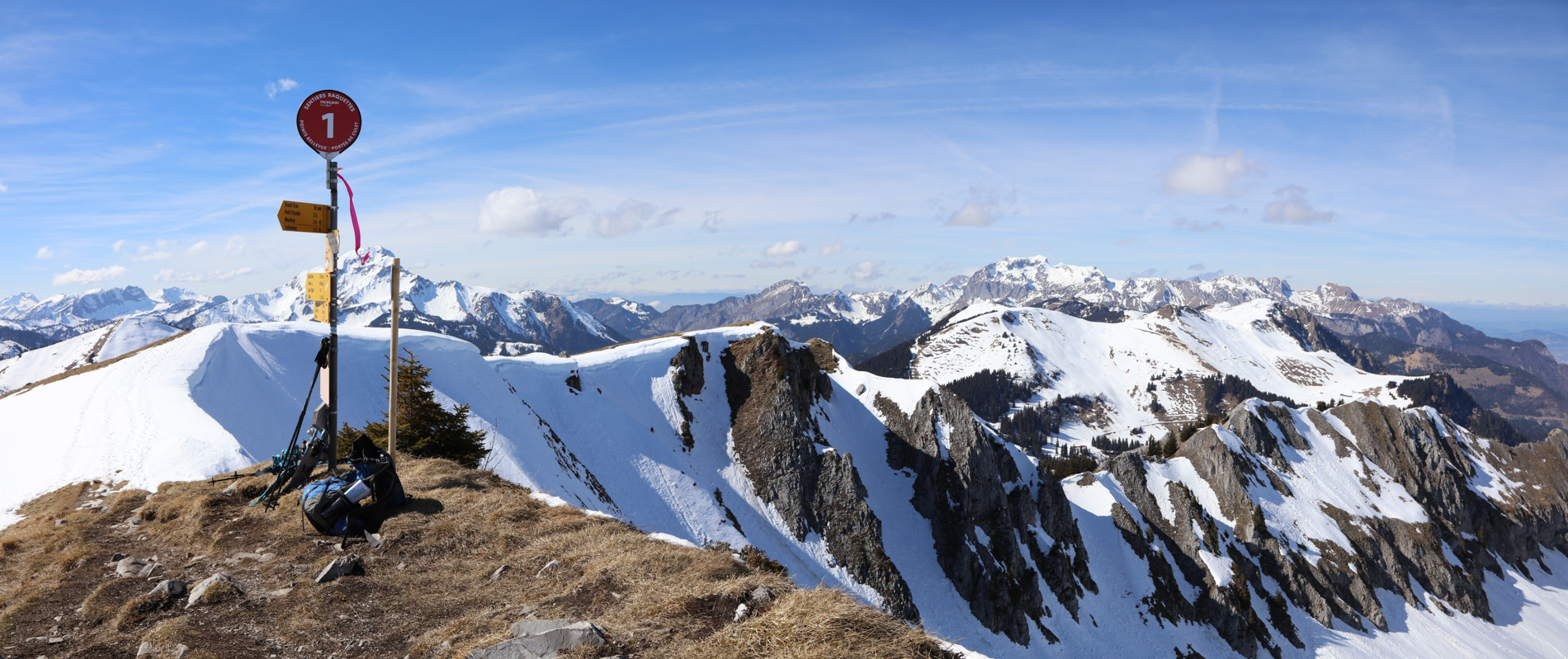 593A7952 Pano