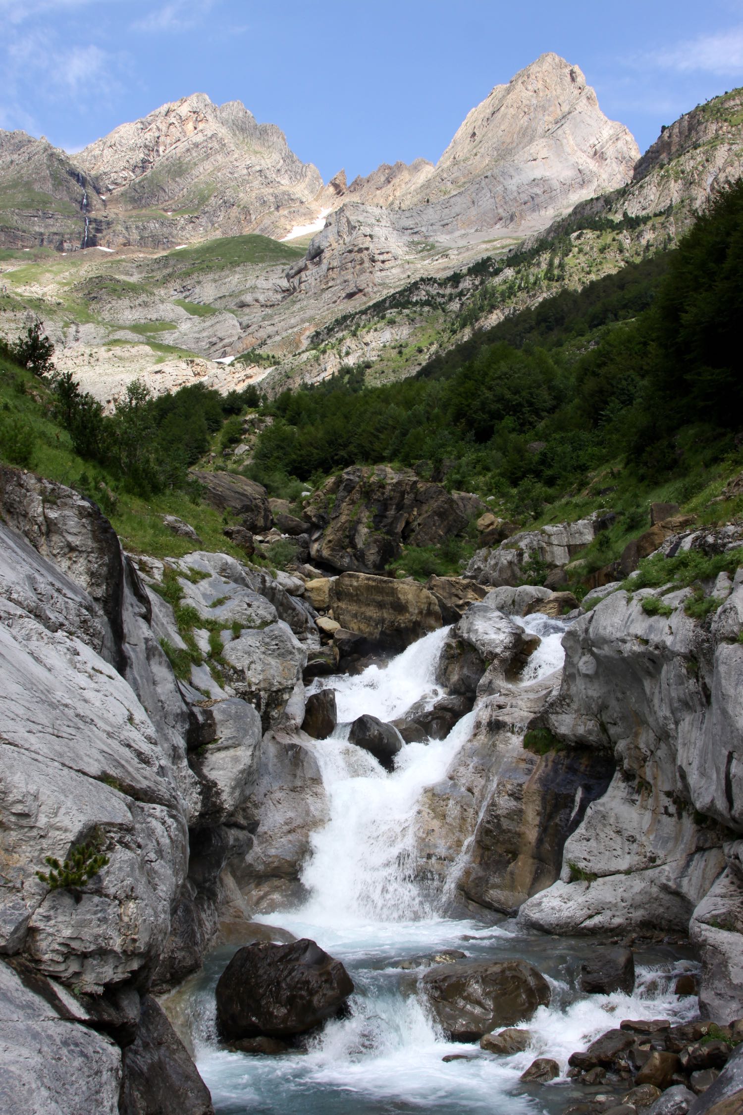 IMG 7086