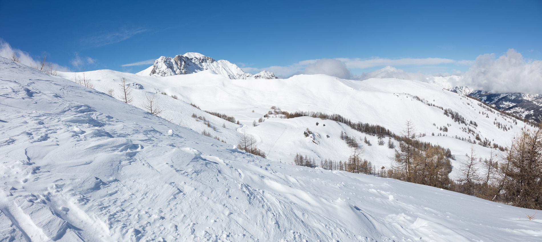 593A5823 Pano