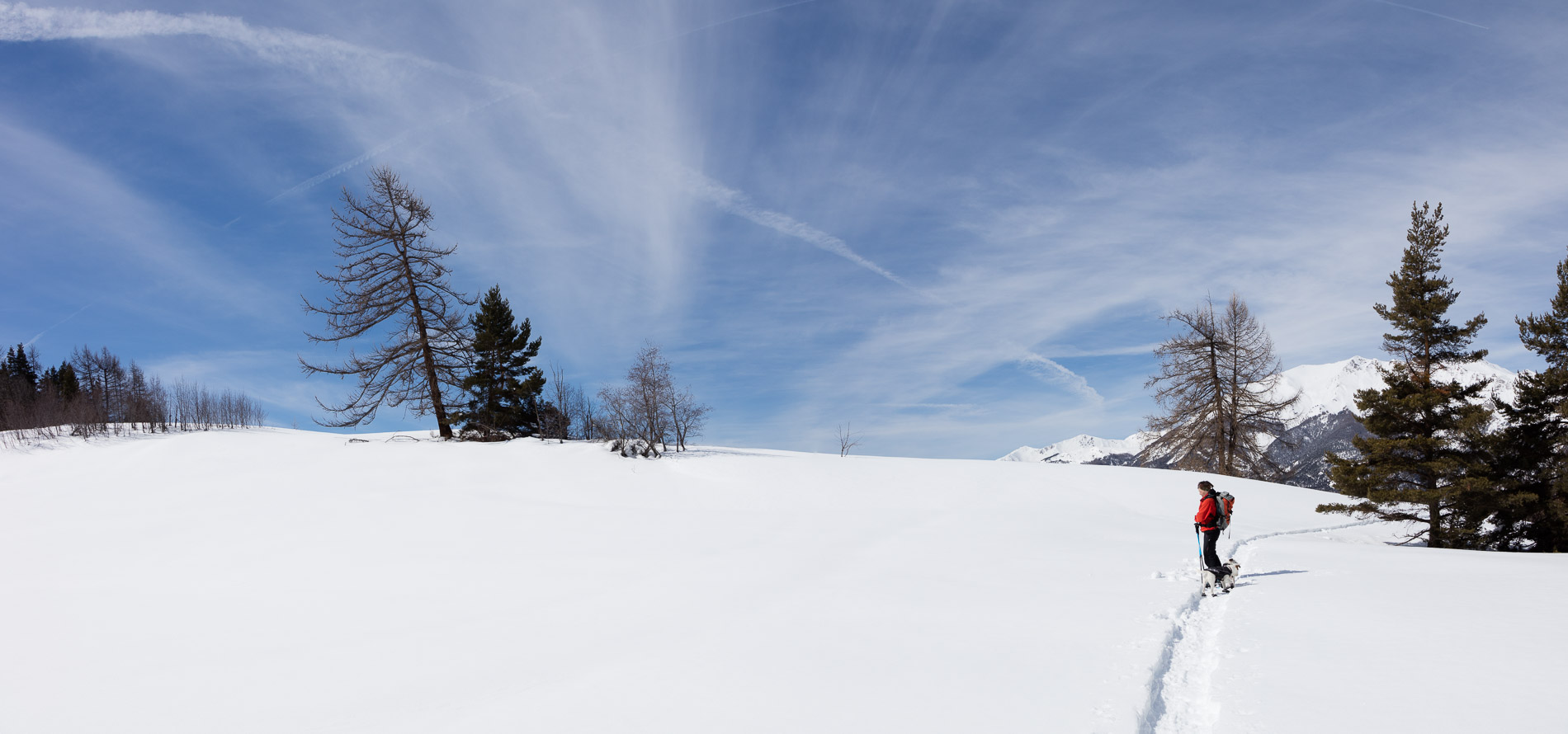 593A5960 Pano