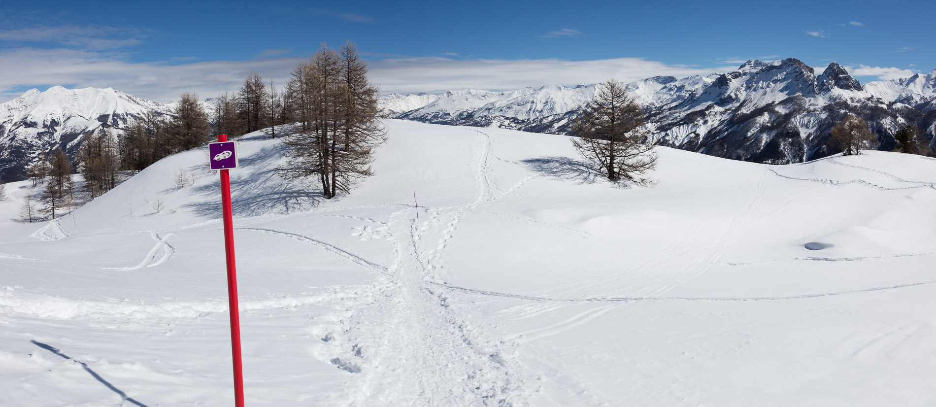 593A6046 Pano